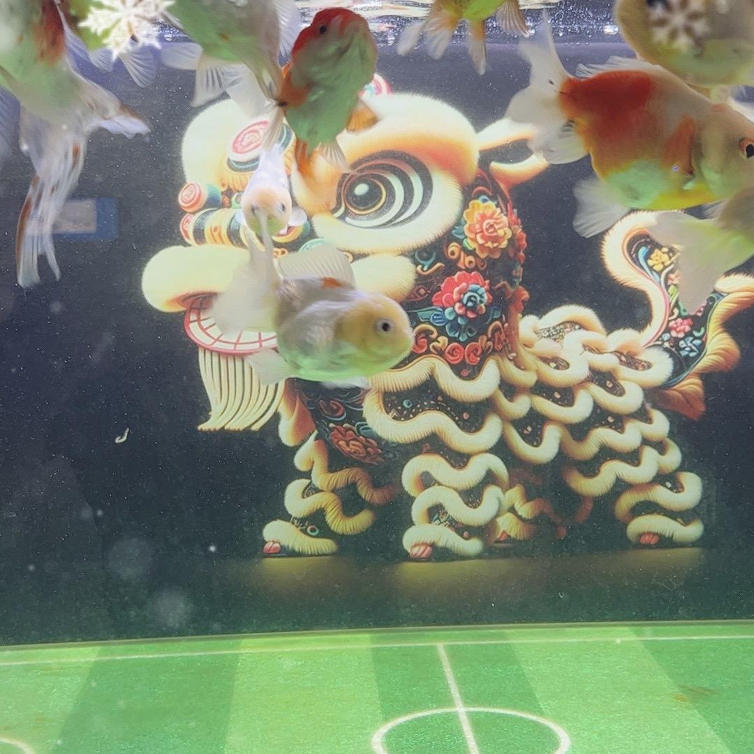 品盛水族
