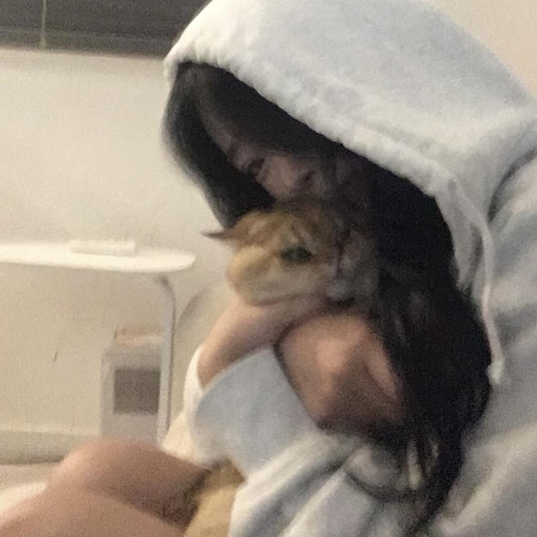 小猫的少女梦