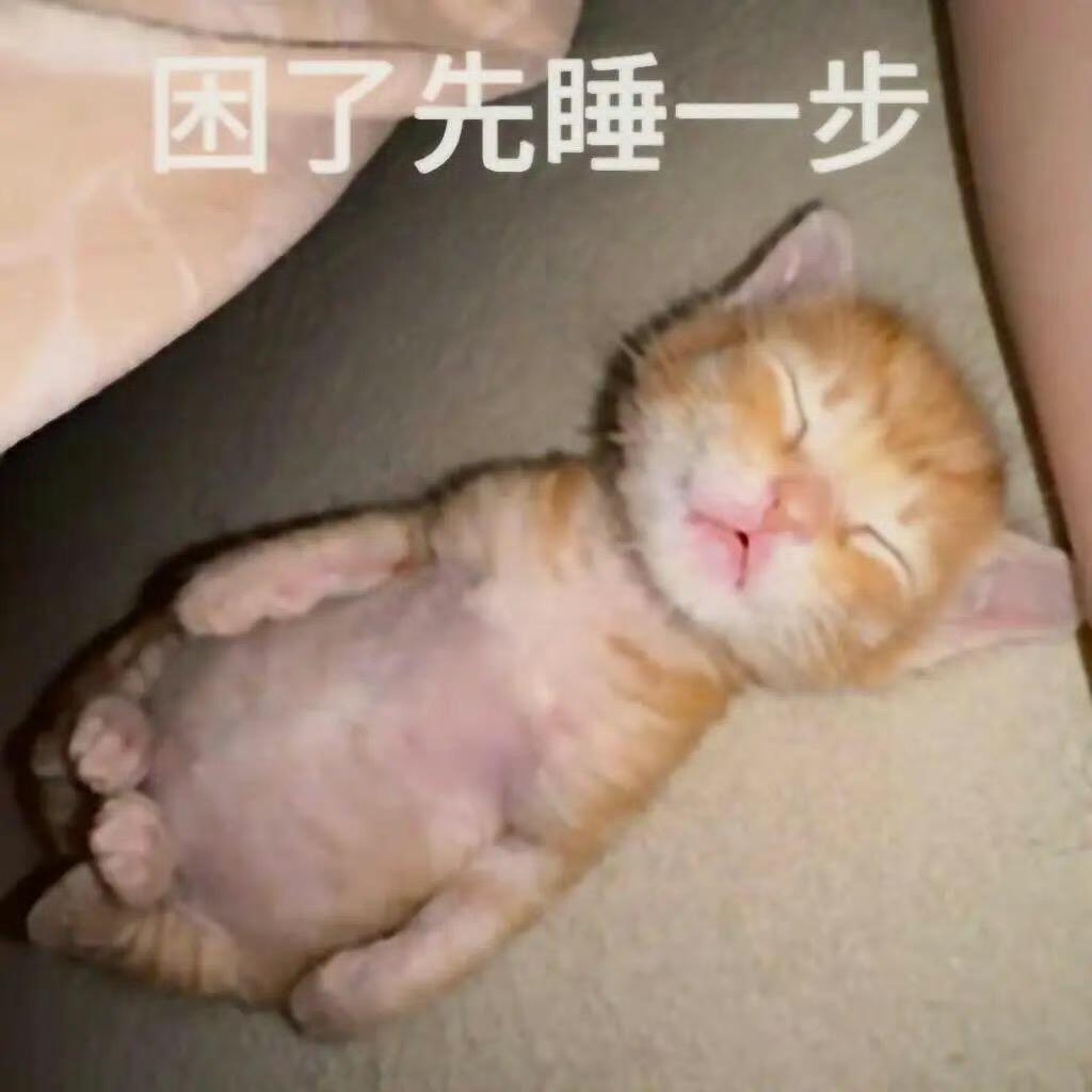 刘海儿🐟