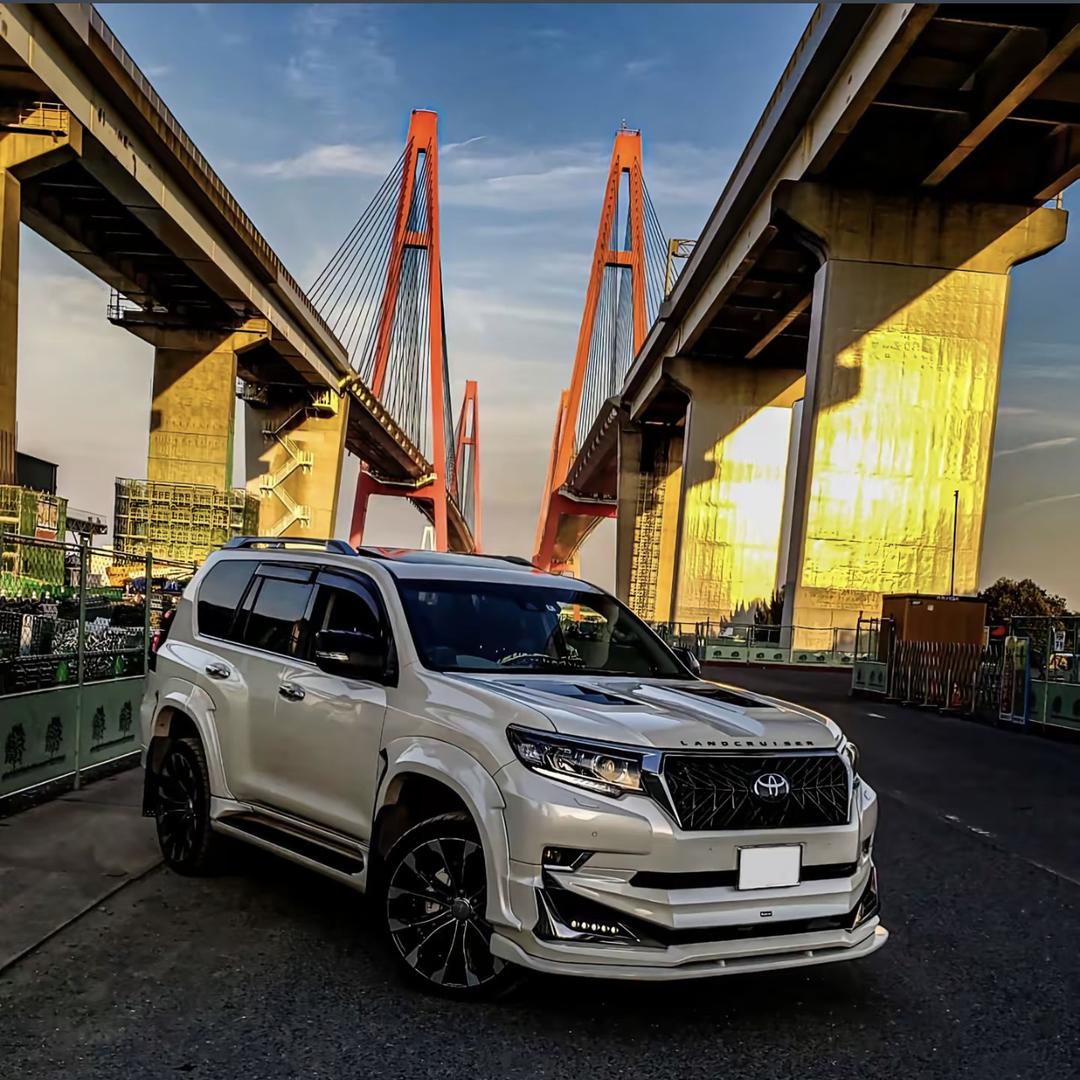 百野山顶鸡จุ（品牌授权）