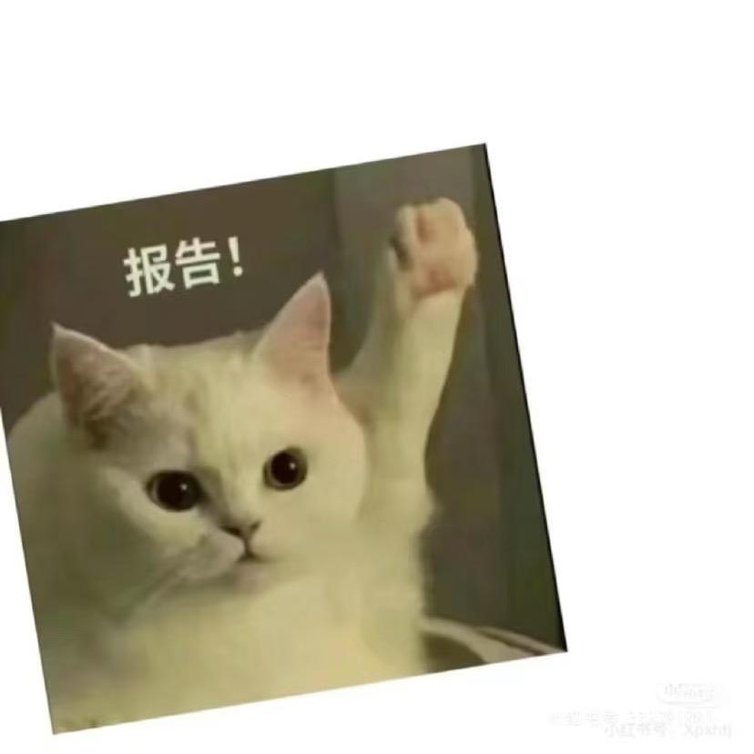 横县鱼生