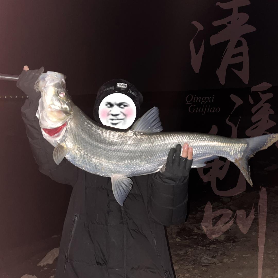 清溪龟叫🎣