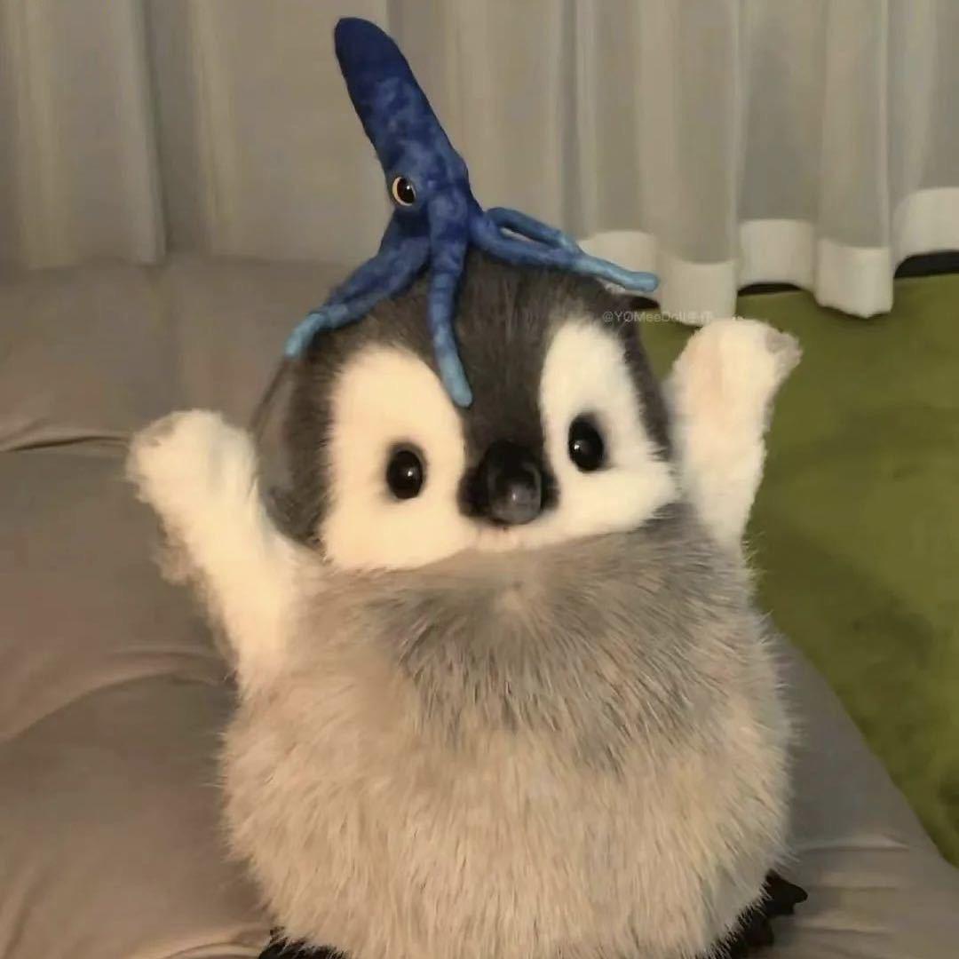 曜呈（国服俱乐部）