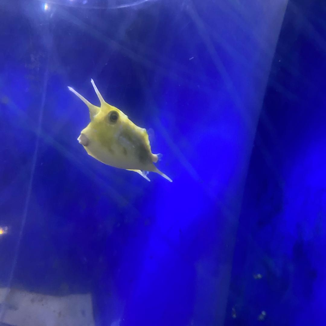二蛋姐🐝