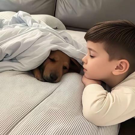 我的女友很可爱.