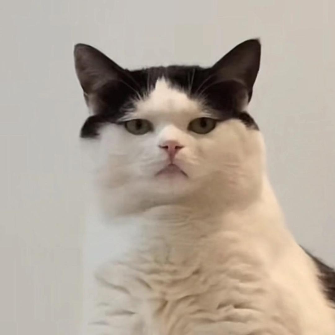 阿善阿单·134340