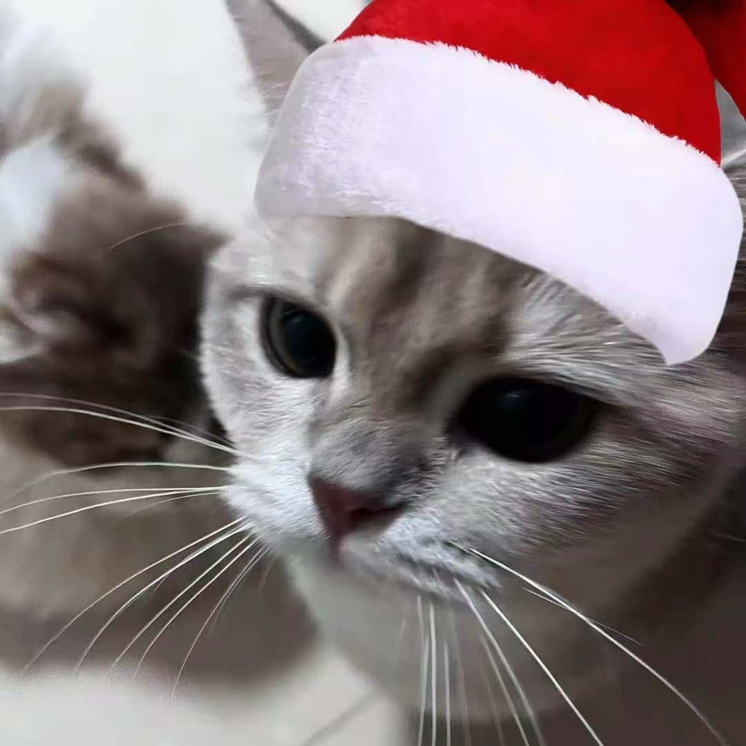 添望
