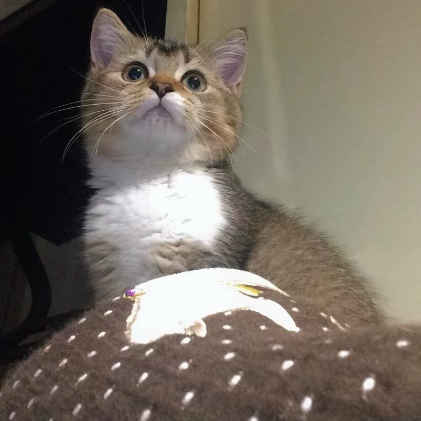 我爱睡觉（天气很冷我不想上学