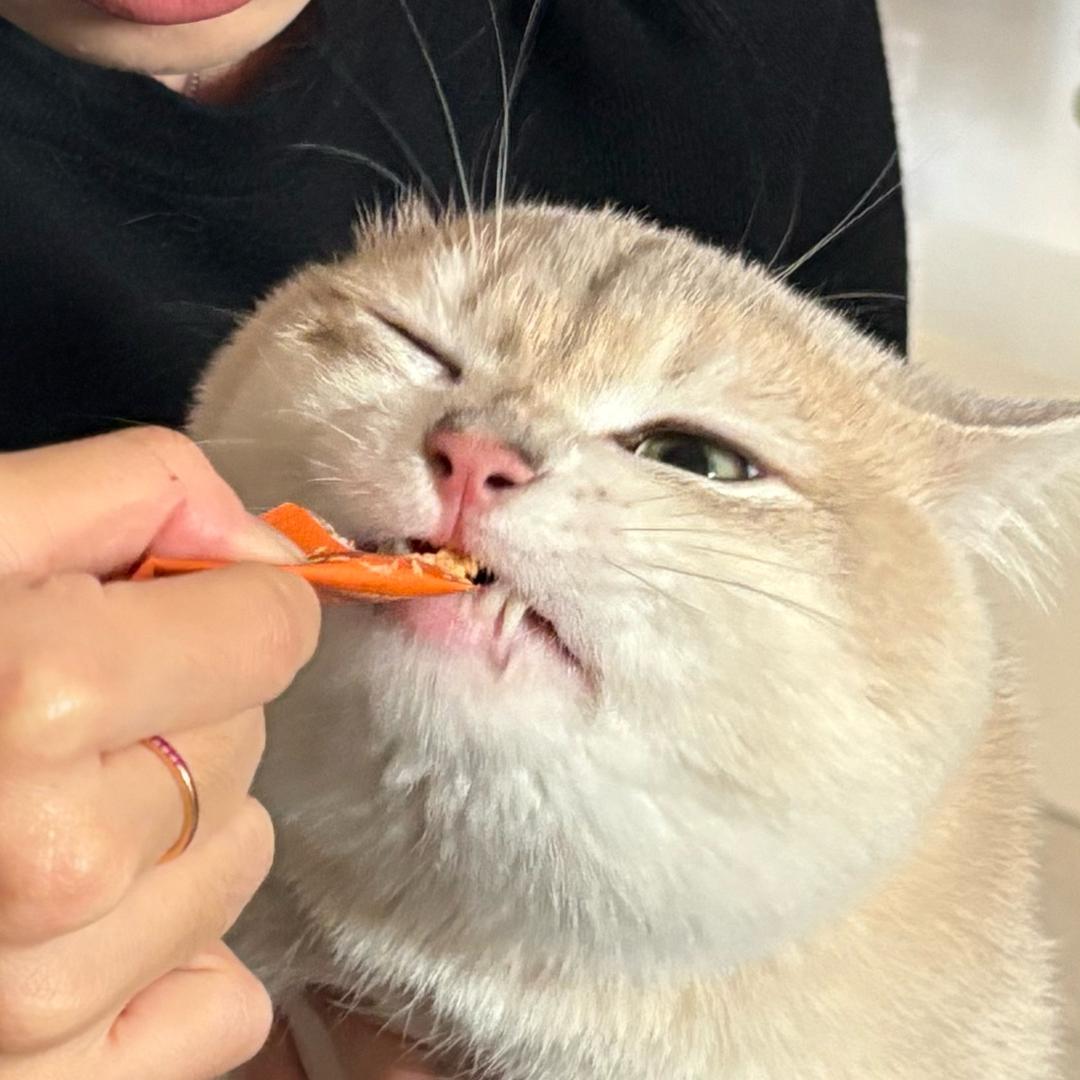 贝贝小妮🥕