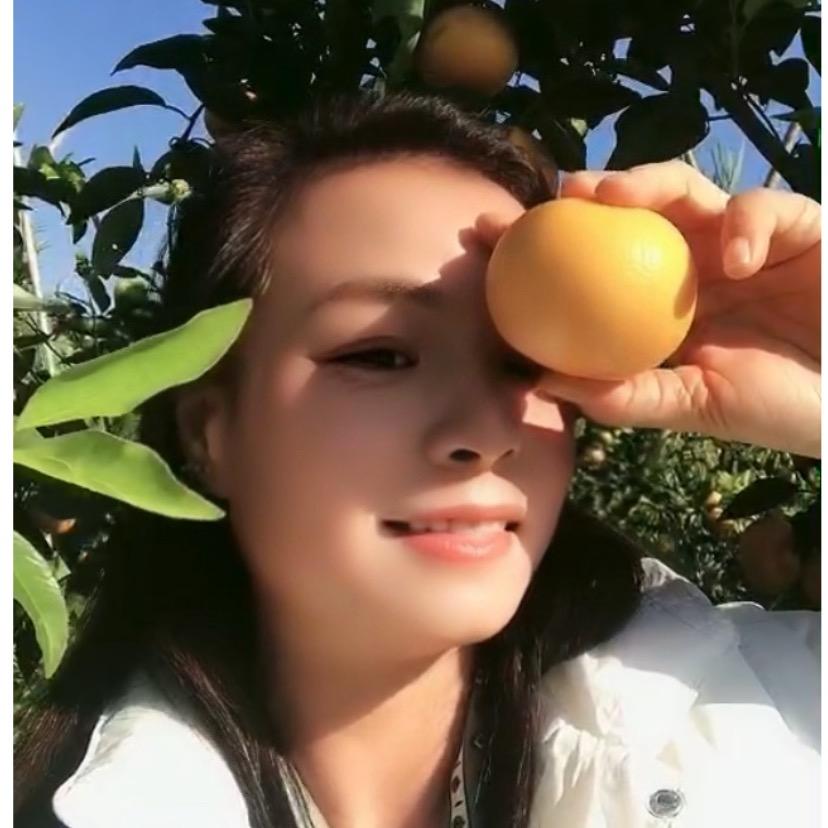 朱上明珠