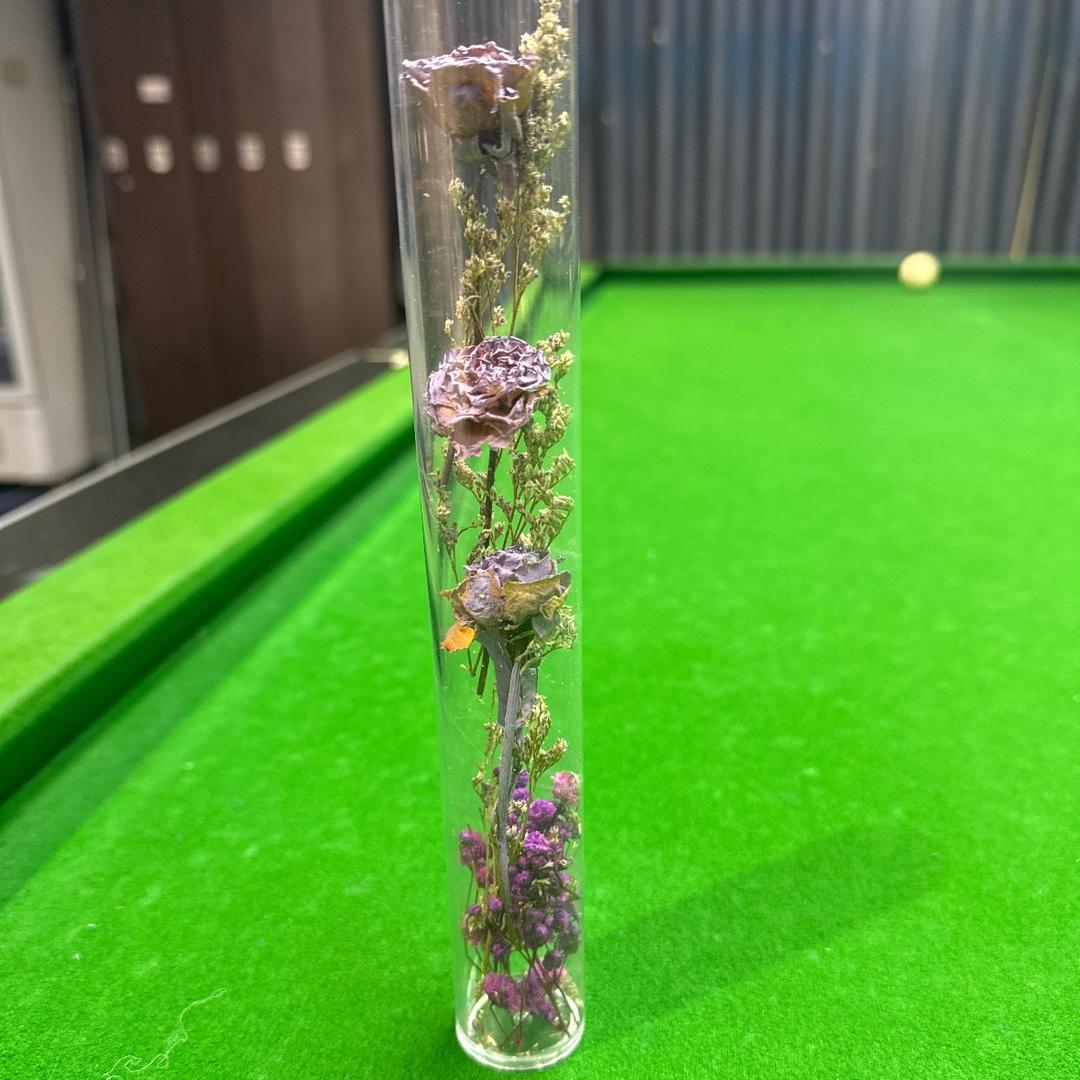 猎蜂