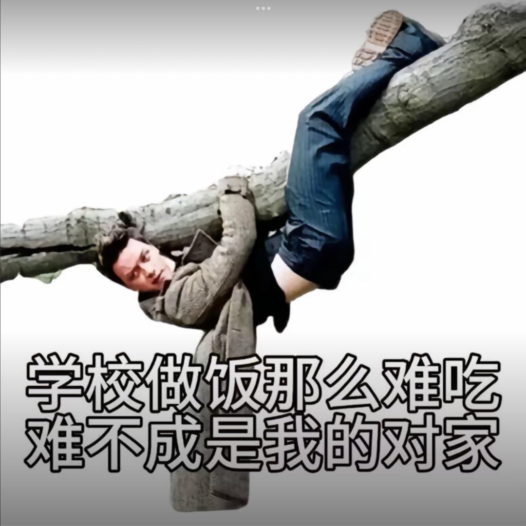 什么破名字怎么这么难取