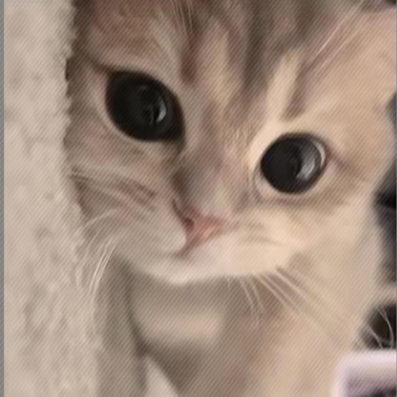 陈..
