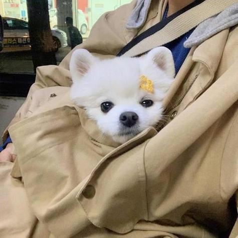 自习