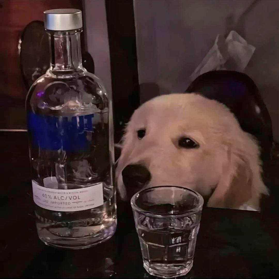 一杯冰美式（y）