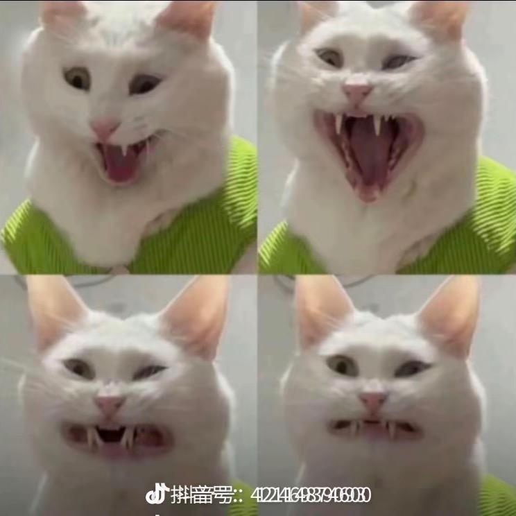 一点儿也不超（预瘦版）