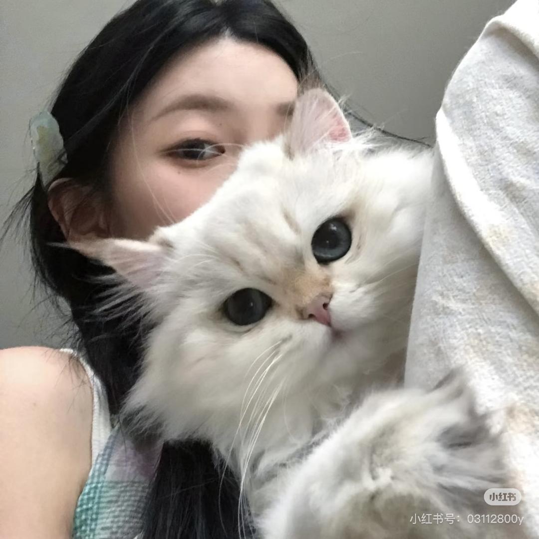 小莎🐷