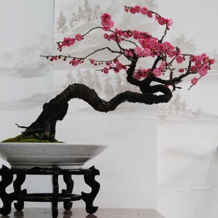 御景园艺