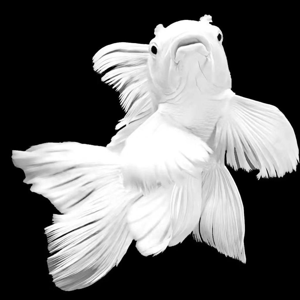 蝶鲤宠物用品严选铺子