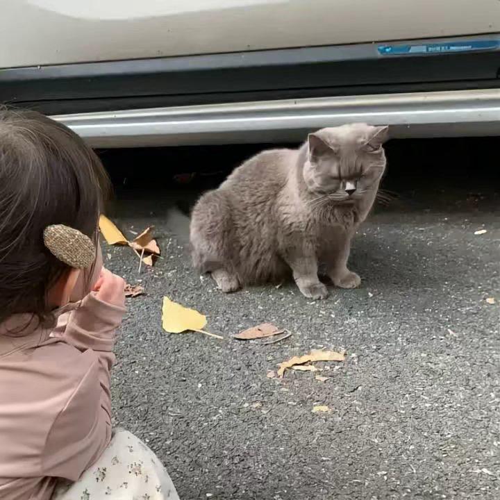 双发射手