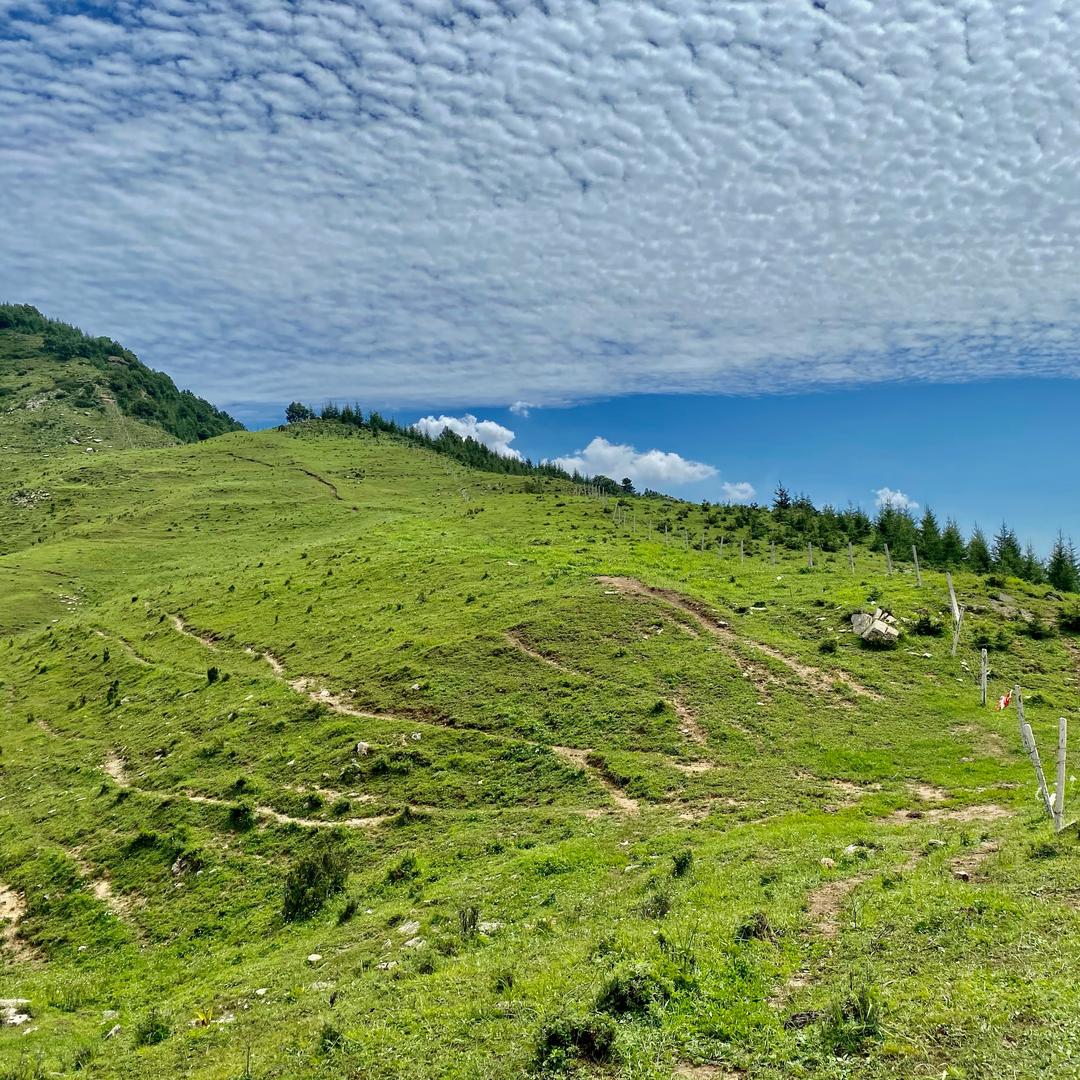 抖音带你看世界