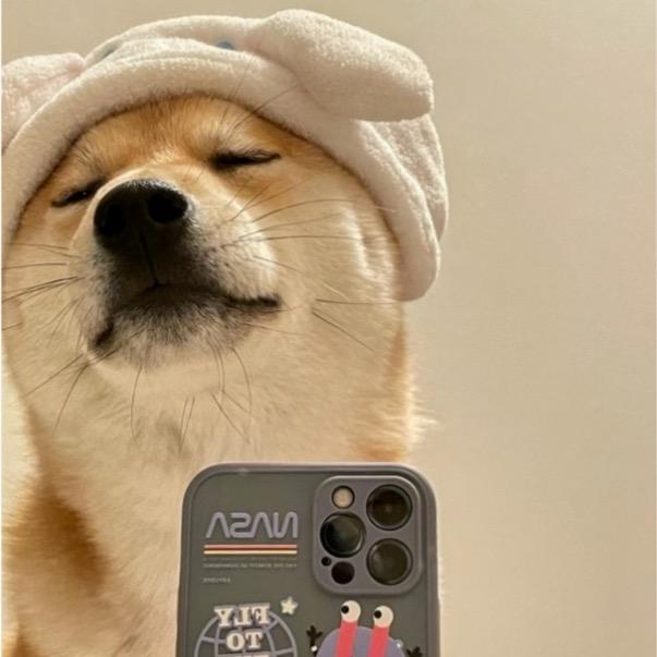 妖孽
