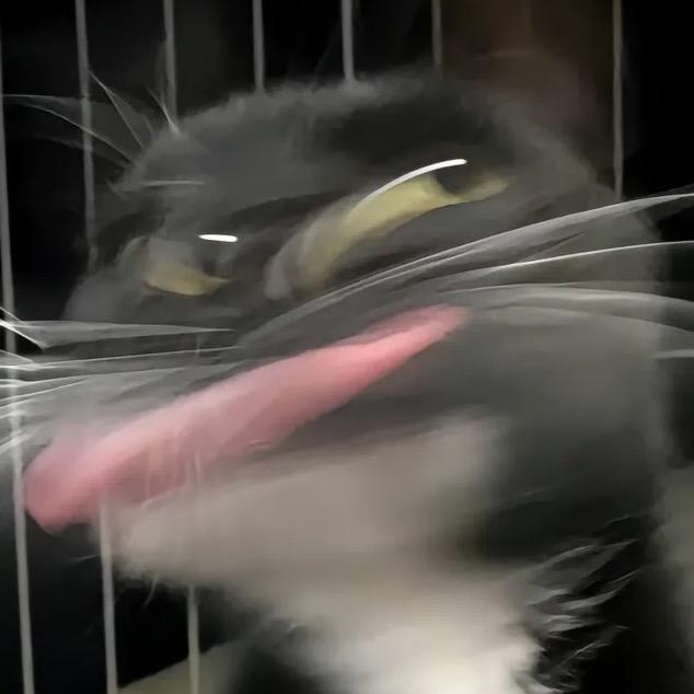 蟹老板有健忘症