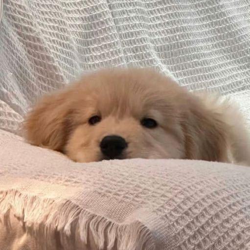 Arning