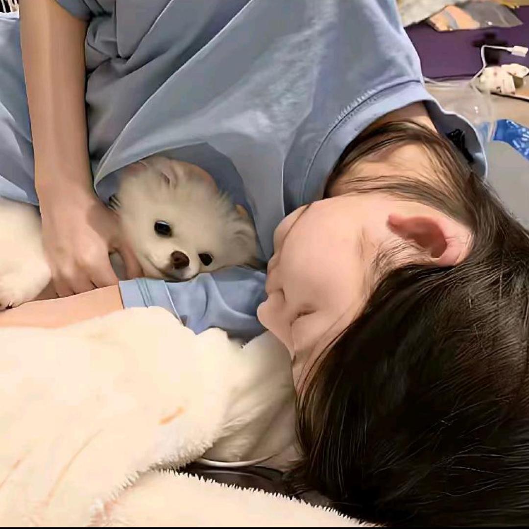 爾爾
