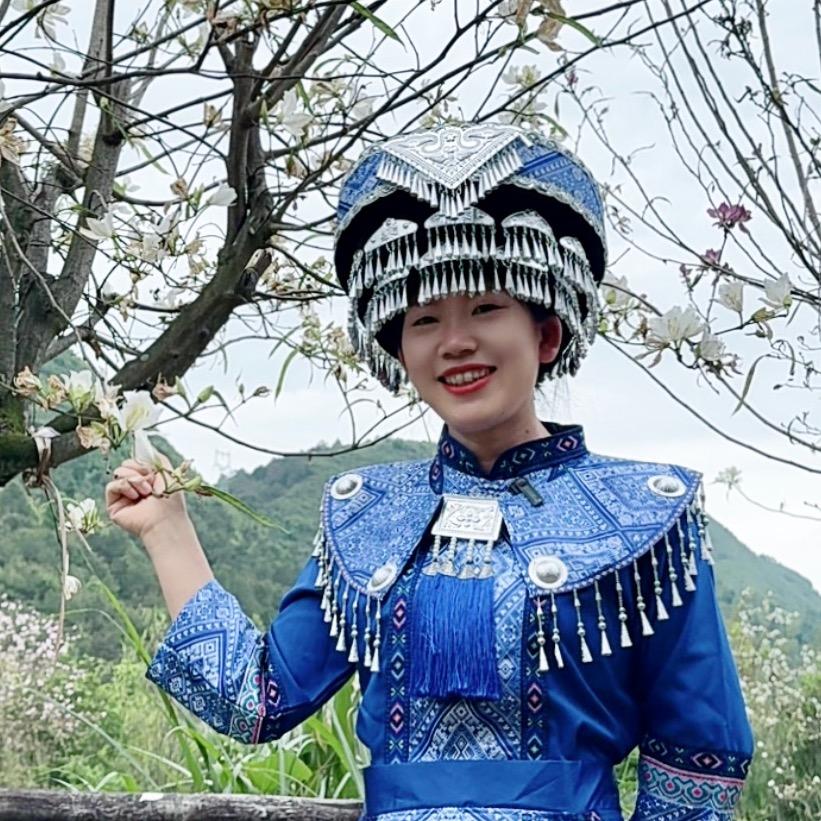 莲花李小菊