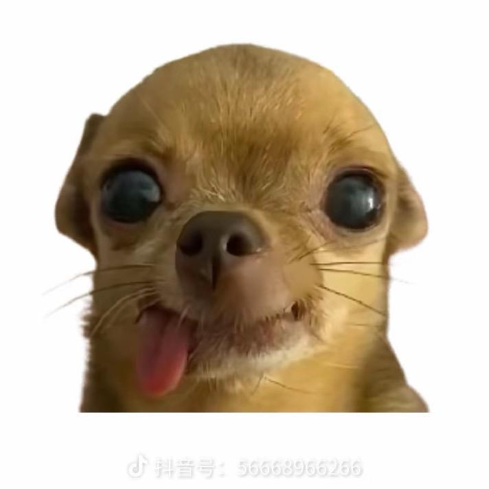 糊椒盐Kiki