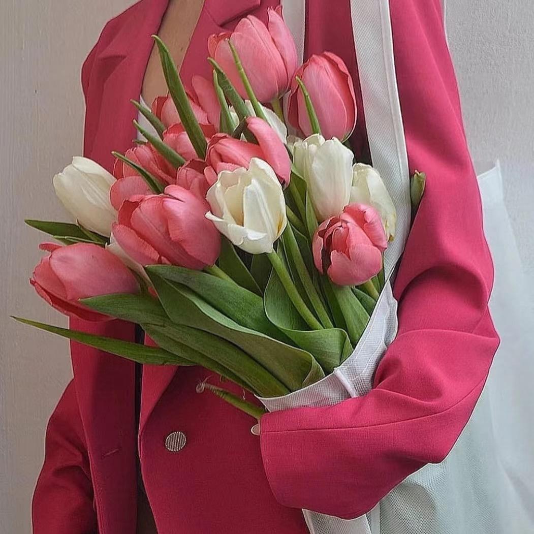 金泉悦己—雅丽