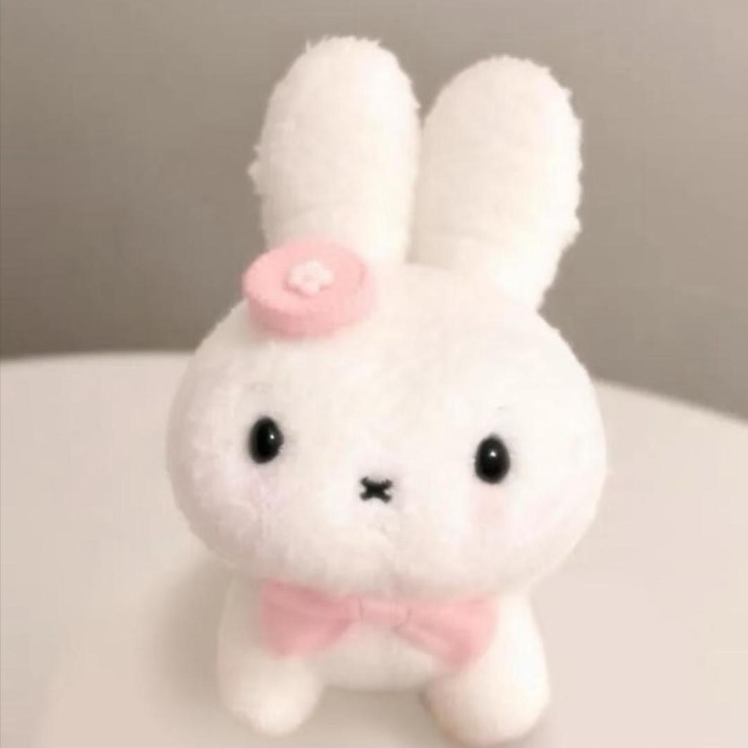 兔兔。