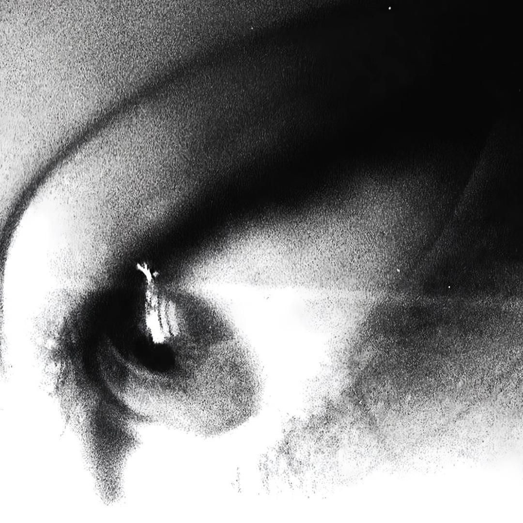 忘记（冬训版）