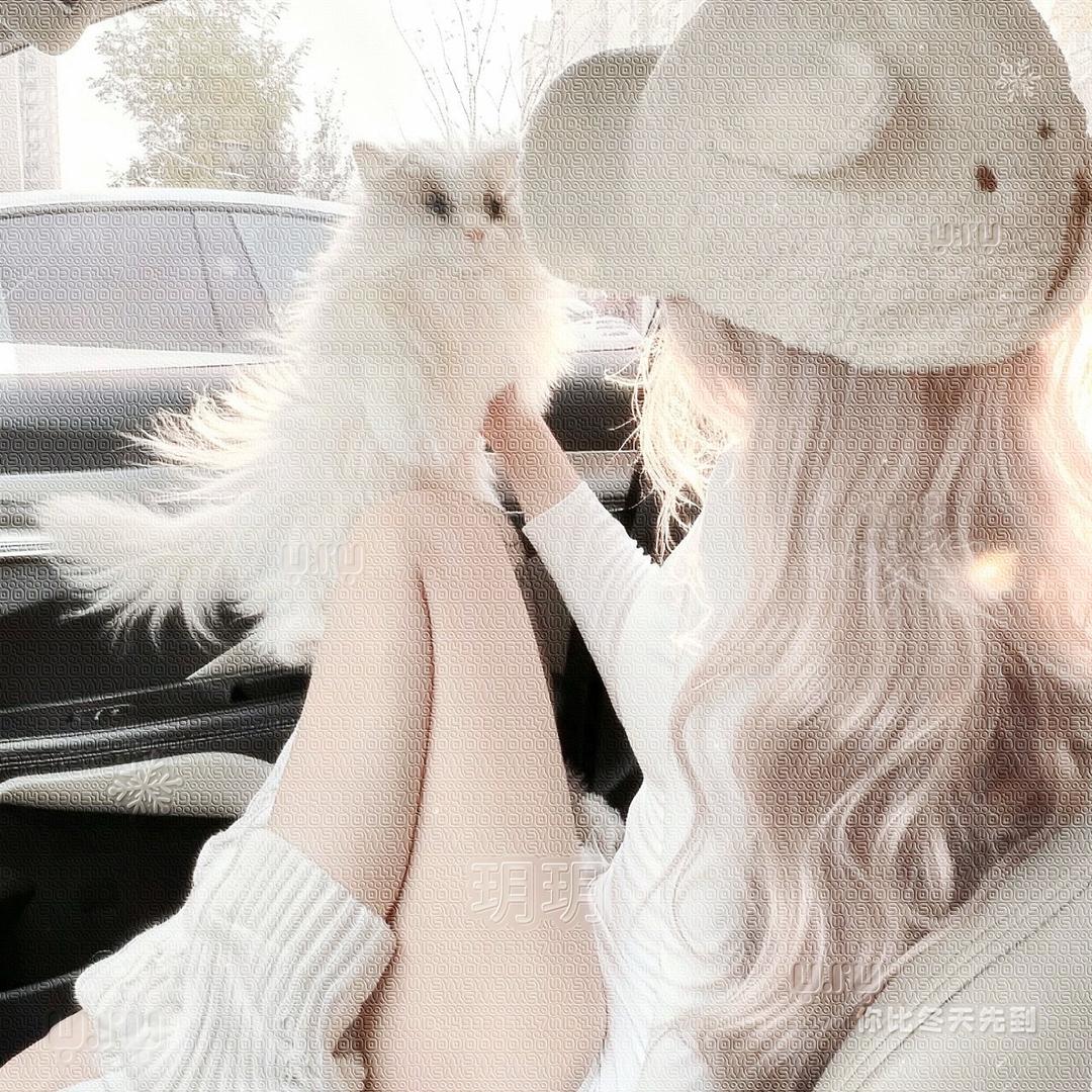 施诗🎀