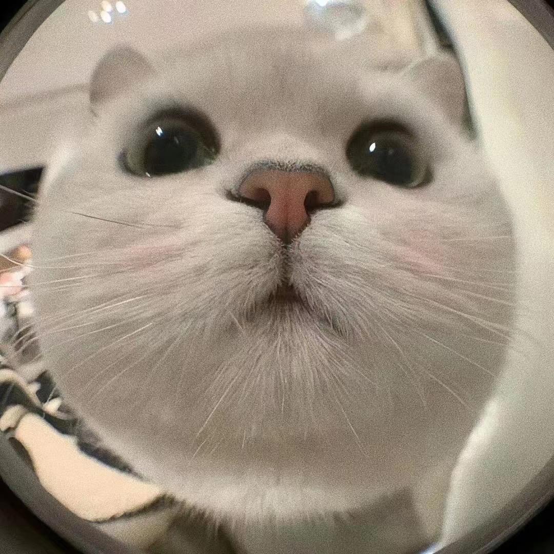 ，