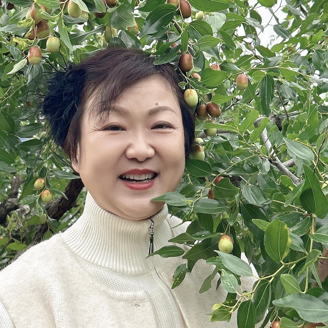 朝阳大枣孙家湾北山基地