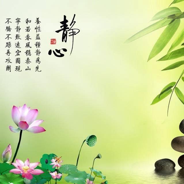 💕 🌸 静心守净💕🌸
