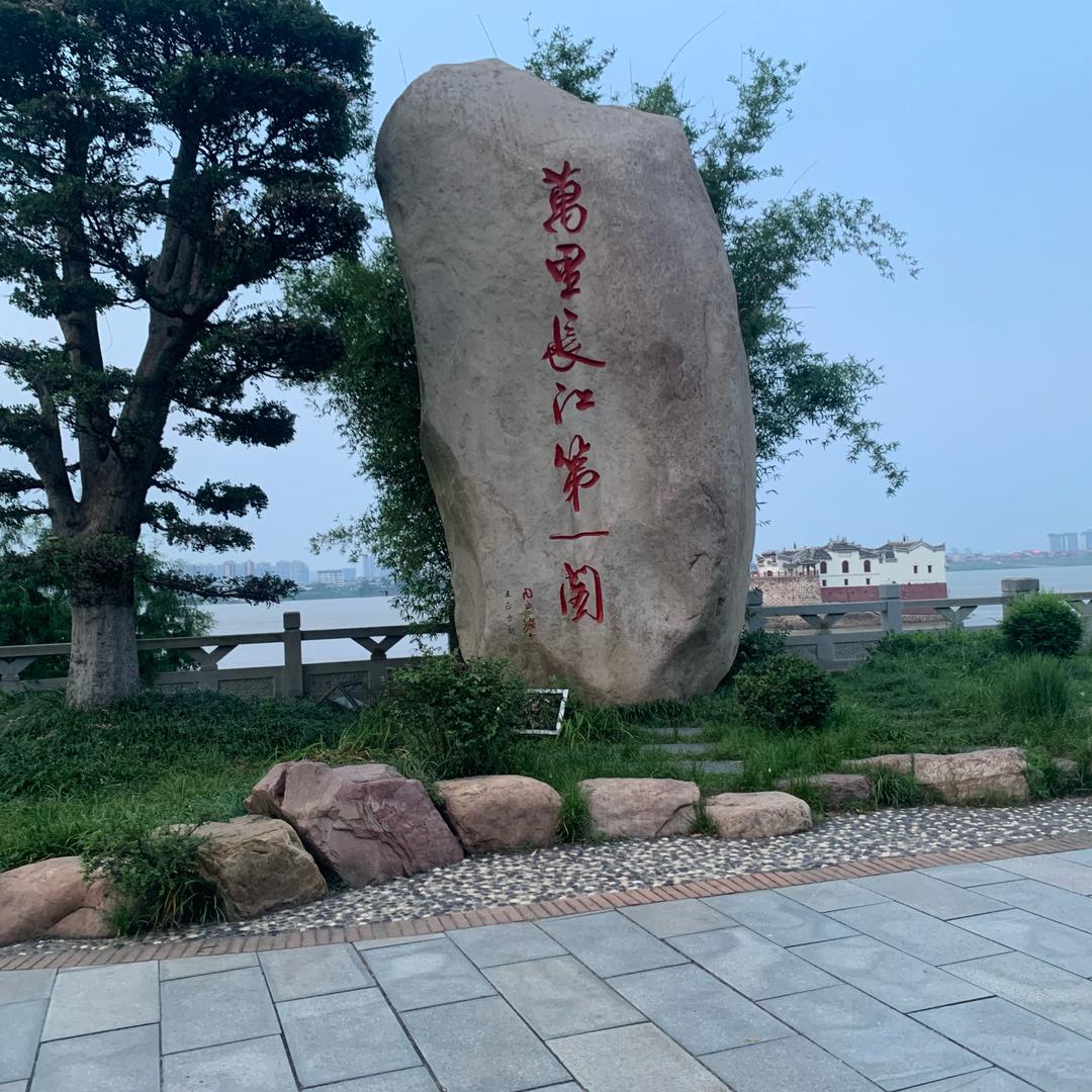 🦁见贤思齐