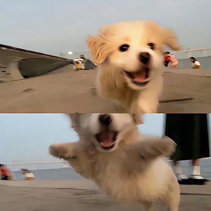 小彭