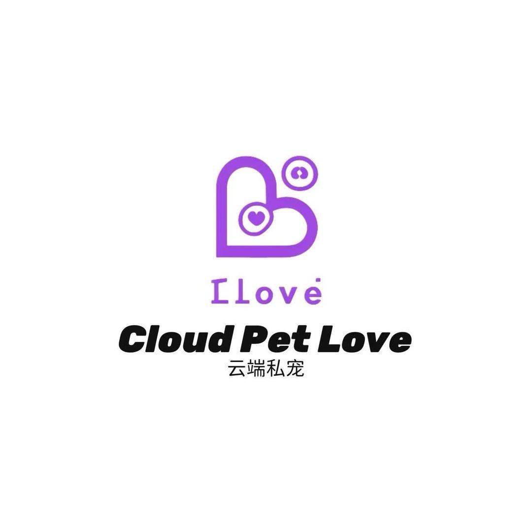 黛丝的睡衣店