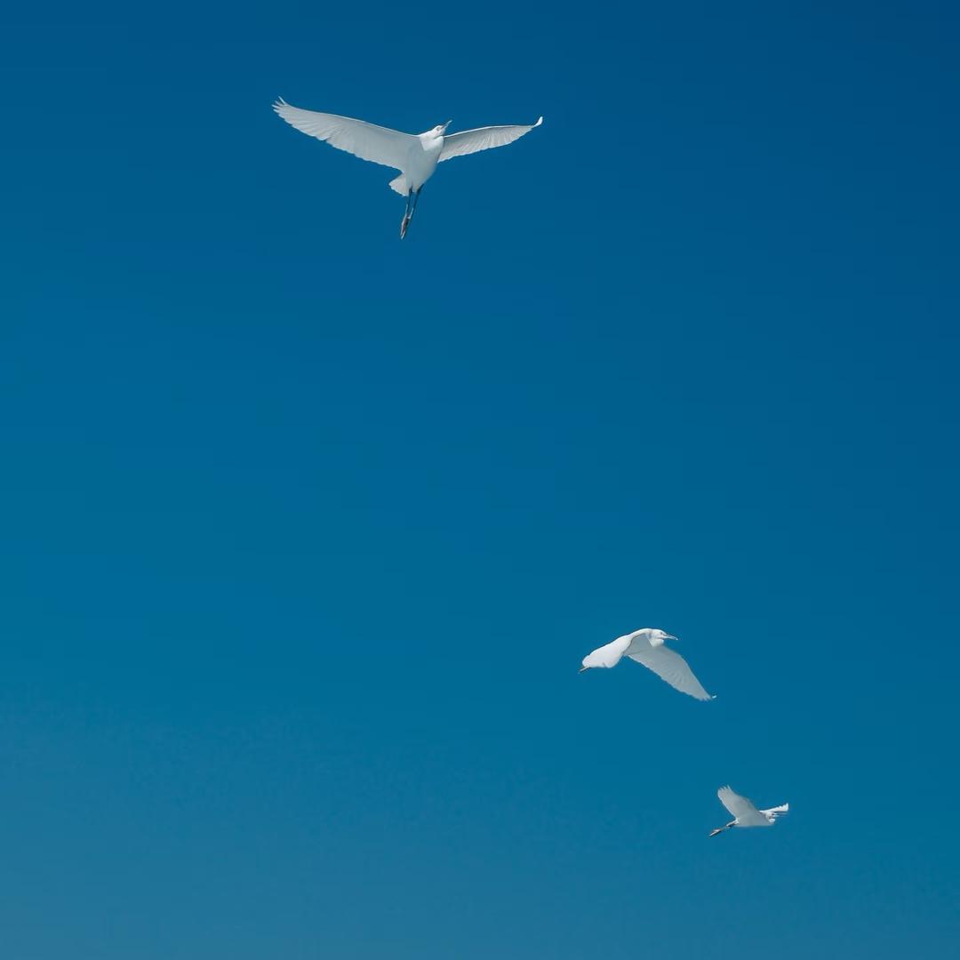一零💙 🐚ᴸ
