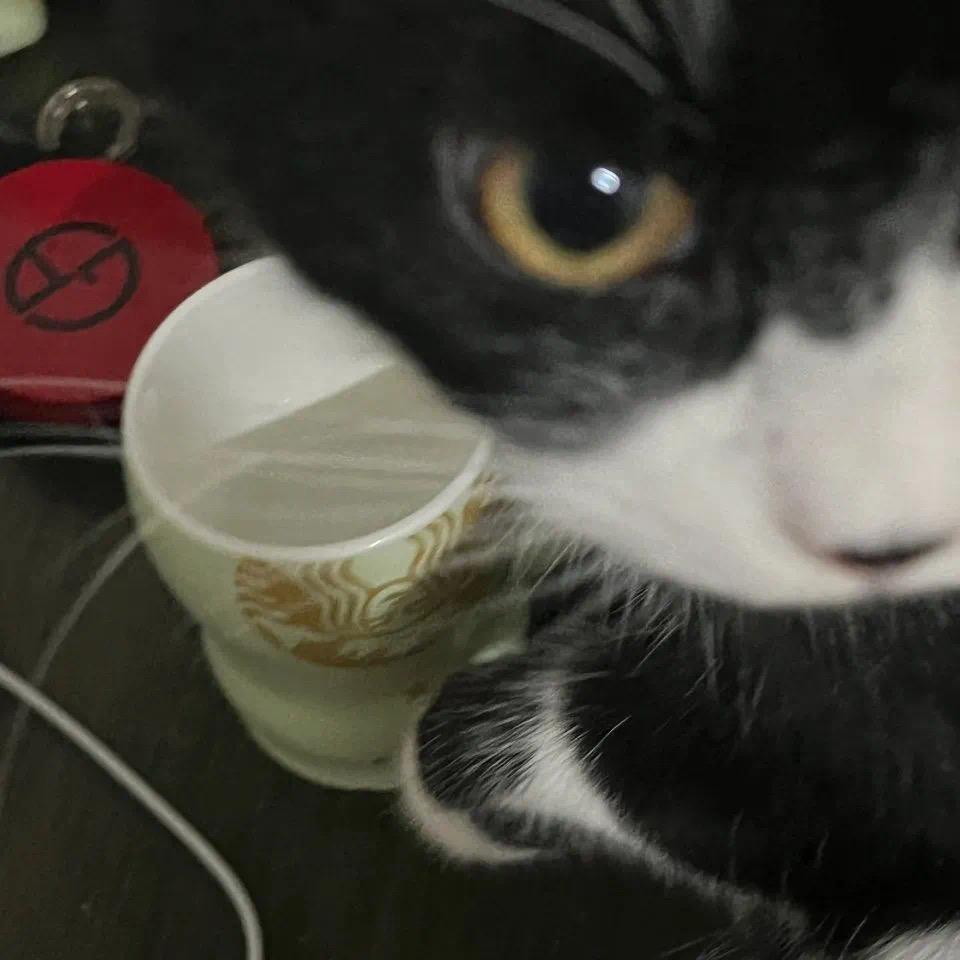 一天只吃三顿饭