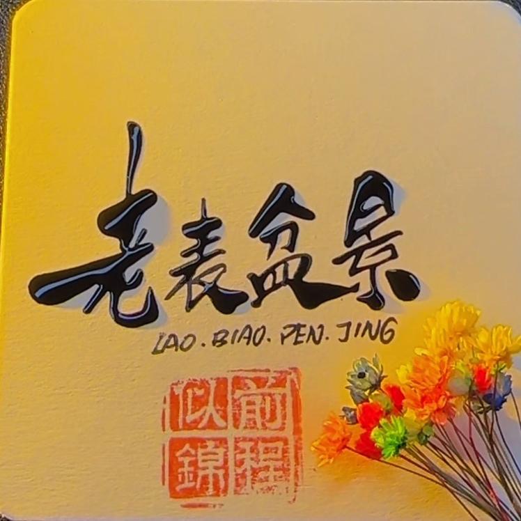 老表盆景店