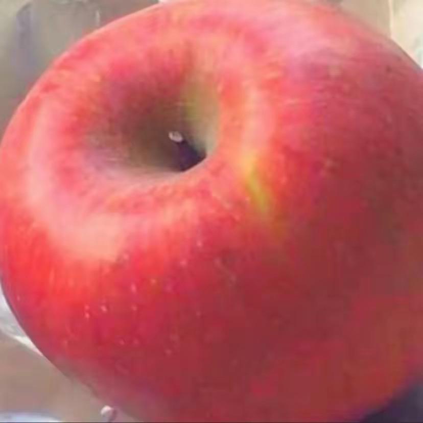 脆脆鲨-