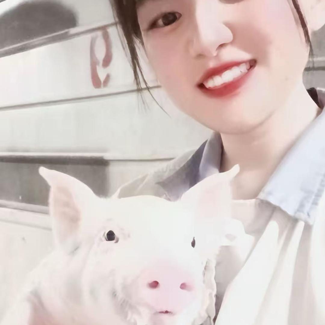 乌梅养猪