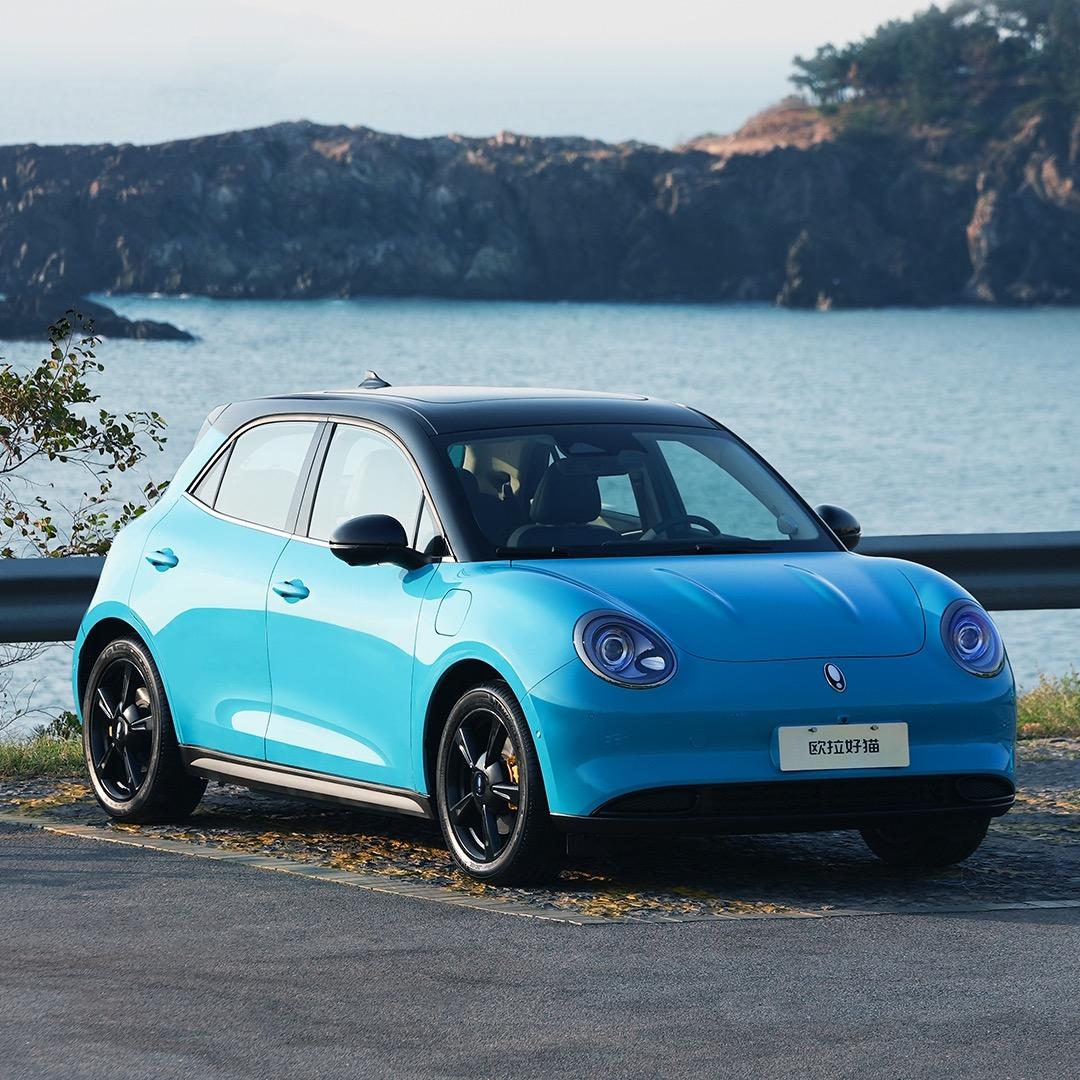 铜陵中和好猫新能源