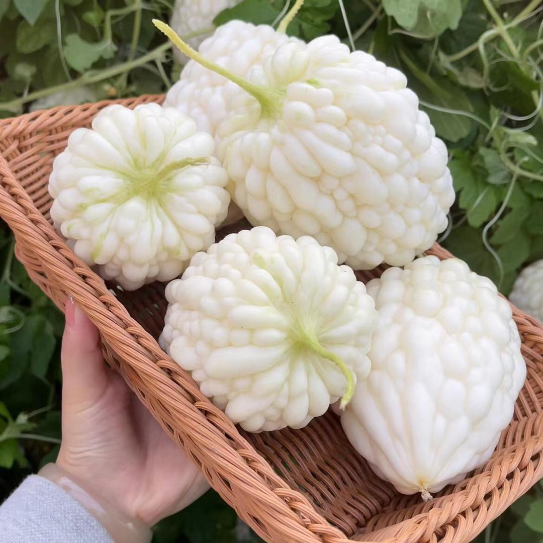 开心种业