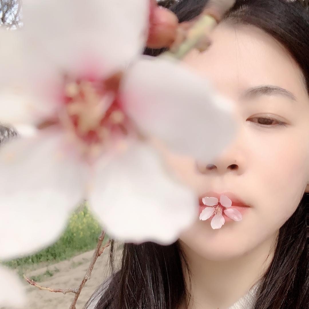 东兴天鹅湖小谭