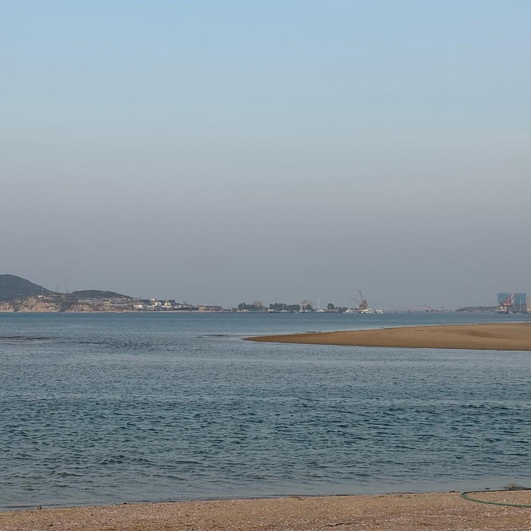 骚柒